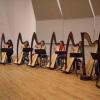 UNT Harp Studio Photo